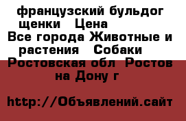 французский бульдог щенки › Цена ­ 50 000 - Все города Животные и растения » Собаки   . Ростовская обл.,Ростов-на-Дону г.